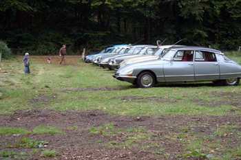 Zu Besuch bei den Kettensge-Kunstwerken im Wald, unterwegs mit automobilen Kunstwerken